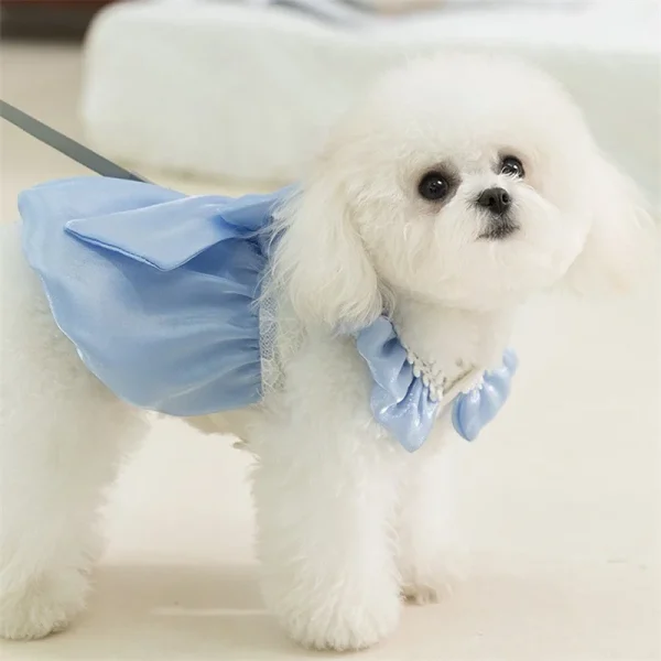 Adorable Small Tutu Dress with Bowknot Lace.